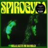 spirogyra: bells, boots and shambles (neon green)