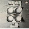 satin whale: desert places