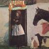 vashti bunyan: just another diamond day (white)