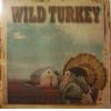 wild turkey: rarest turkey