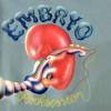 embryo: rocksession