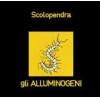 gli alluminogeni: scolopendra ( transparent vinyl)