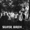 silver birch: silver birch