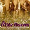 the wilde flowers: the wilde flowers