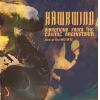 hawkwind: vibrations from the cosmic brainstorm - live at the bbc 1972