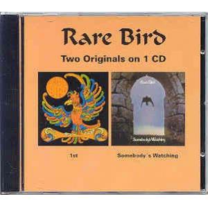 rare bird: 1st / somebody is watching