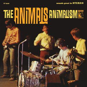 the animals: animalism