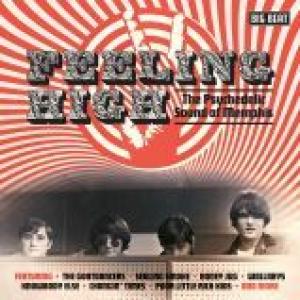 various: feeling high the psychedelic sound of memphis