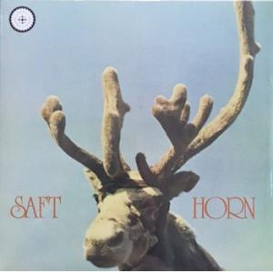 saft: horn