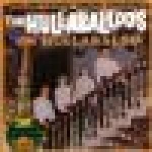 hullabaloos: hullabaloos/on hullabaloo