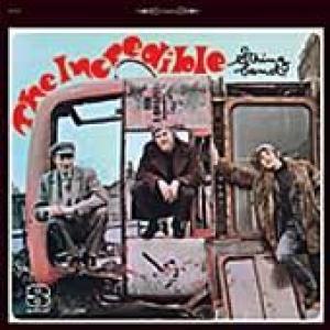 incredible string band: incredible string band