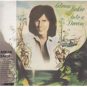 adrian baker: into a dream