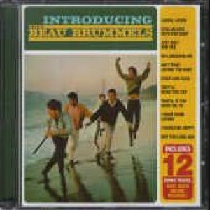 beau brummels: introducing the beau brummels