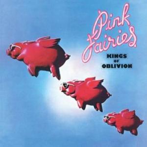 pink fairies: kings of oblivion