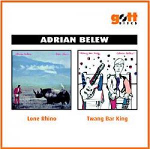 adrian belew: lone rhino / twang bar king