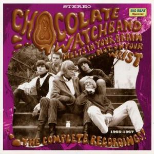 chocolate watch band: melts in your brain...not on your wrist~ the complet