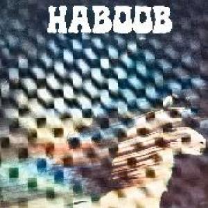 haboob: haboob