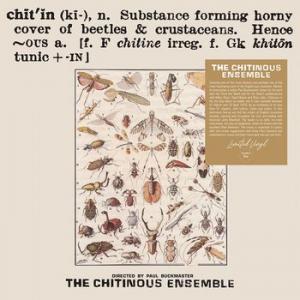 the chitinous ensemble: the chitinous ensemble