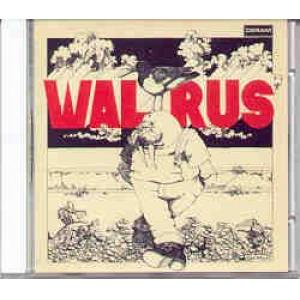 walrus: walrus